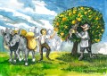 Kamishibai  karty narracyjno - obrazkowe  knk-R01 Wydawnictwo Risprint                                                autor ilustracji: Mariusz Grzemski